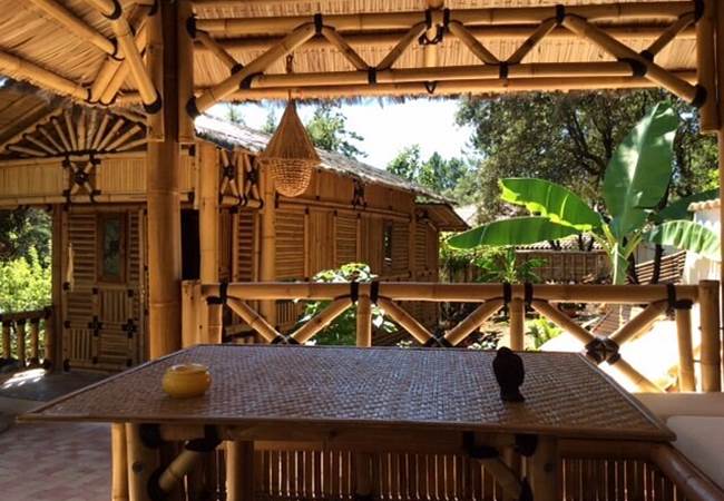 suite-coco-banane-insolite