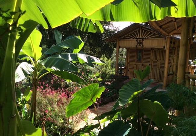 maison-de-bali-dans-un