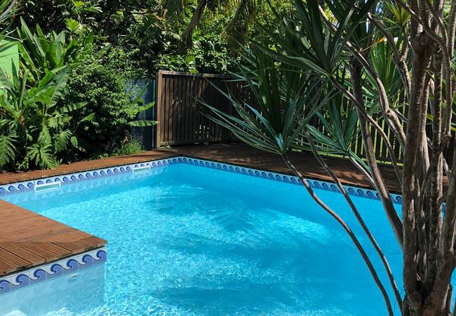 Soleil-palmiers-piscine-des-gites-l-or-des-caraibes