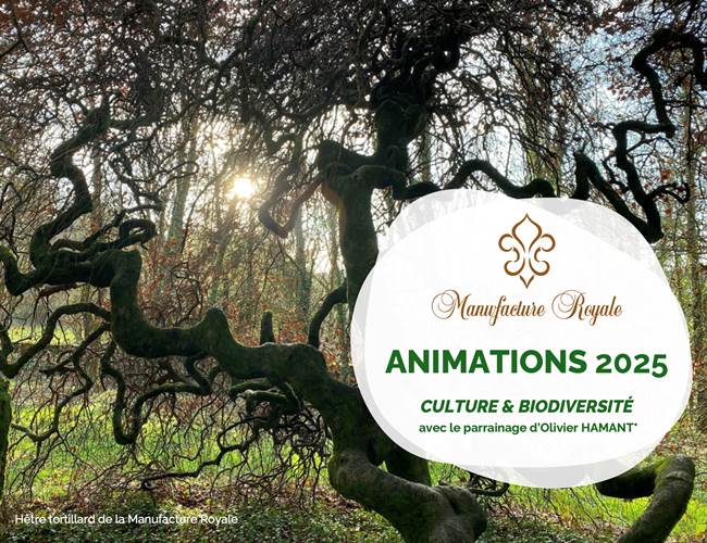 Culture & Biodiversité 2025 - Manufacture Royale de Bains