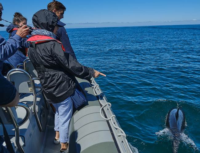 Au plus prés des éléments  pour des observation nature