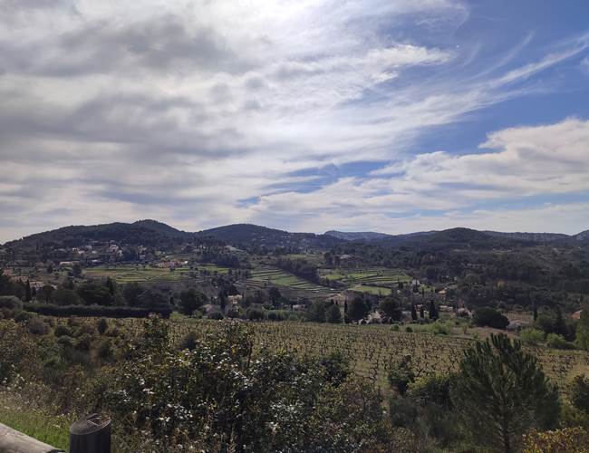 Vue sur les vignes