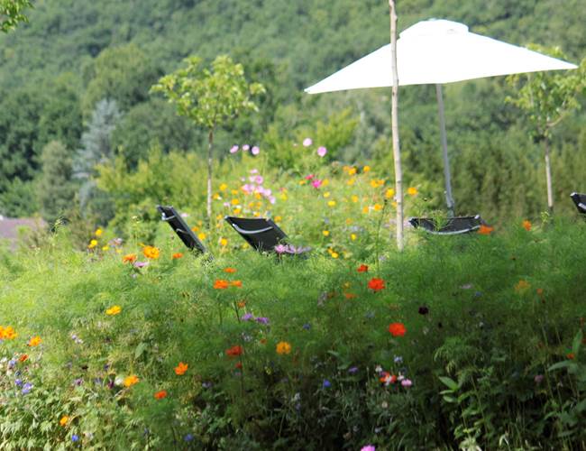 Berçeuse au milieu des jachères
