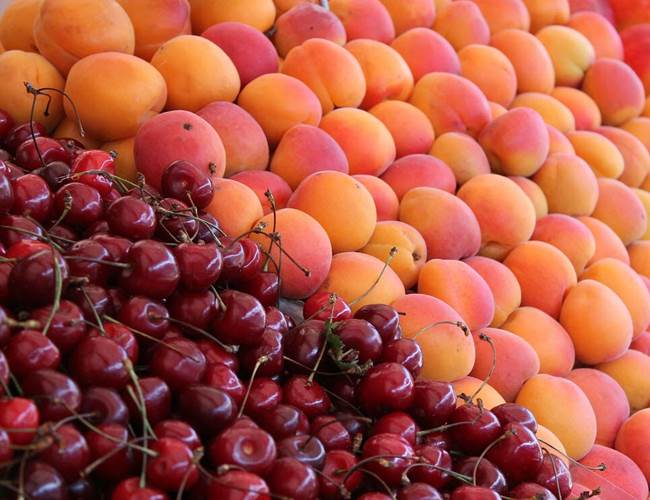 fruits-saison-local-bio