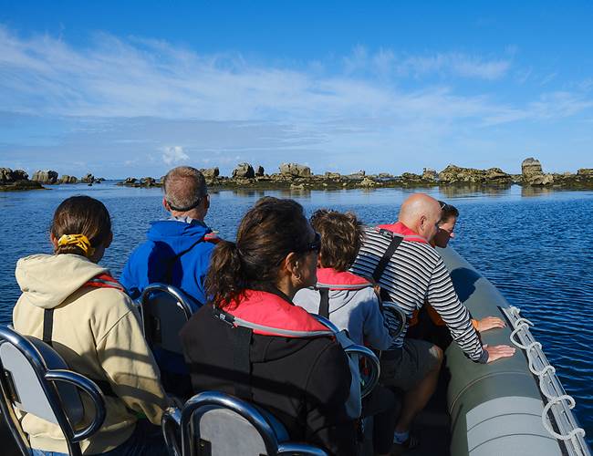 Bateaux Promenade Soizen - semi-rigide ARKELOU aux roches des Etocs