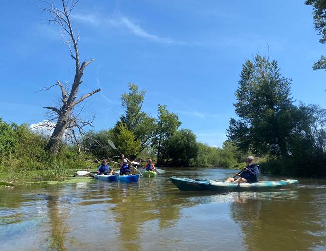 Abbartello Kayak Descente Taravo