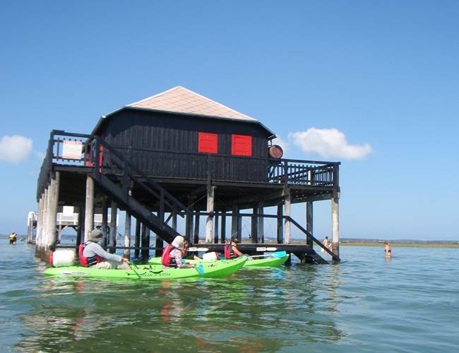 Les cabanes Tchanquées sur le Bassin d'Arcachon avec Becalou