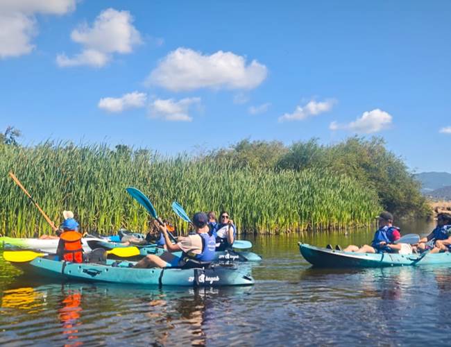 Abbartello Kayak le Taravo a une vaste roseliere