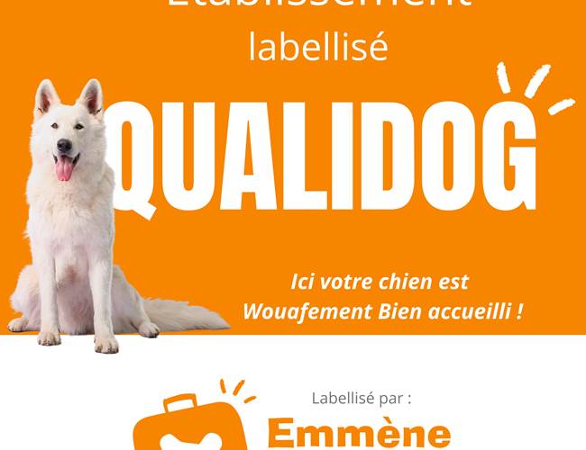 Sans titre