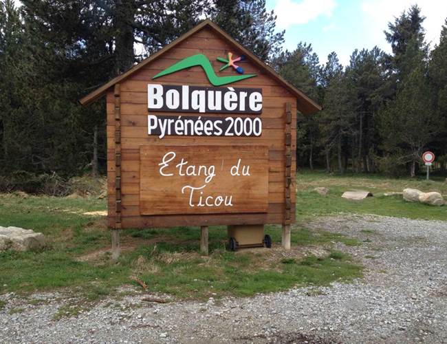 Ticou entrée