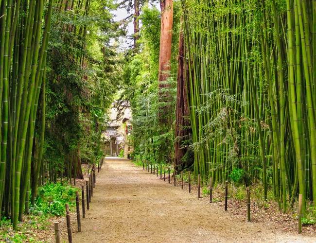 La-Bambouseraie-d-Anduze