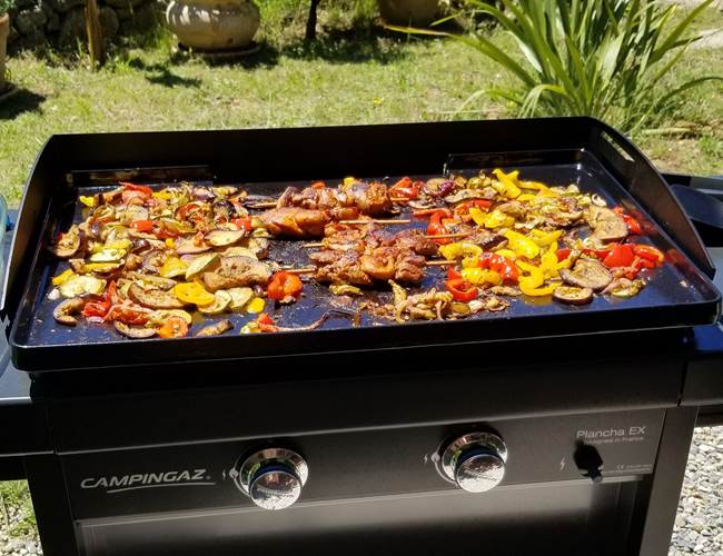 à disposition à la la villa les hespérides plancha à gaz