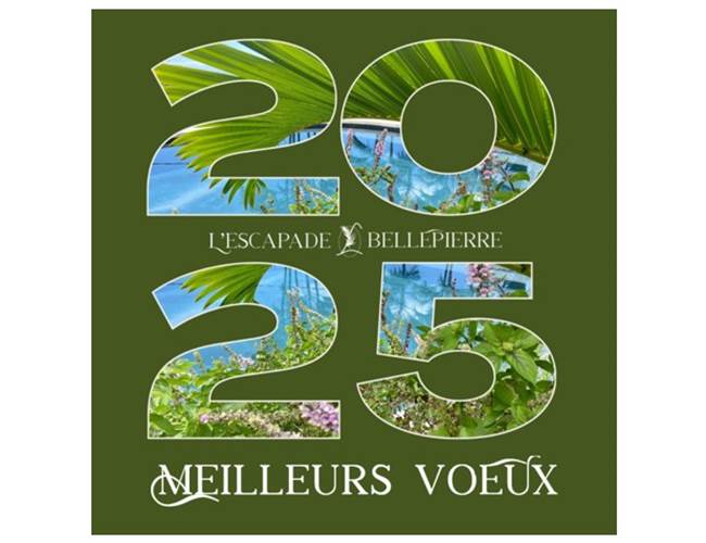 Meilleurs vœux 2025
