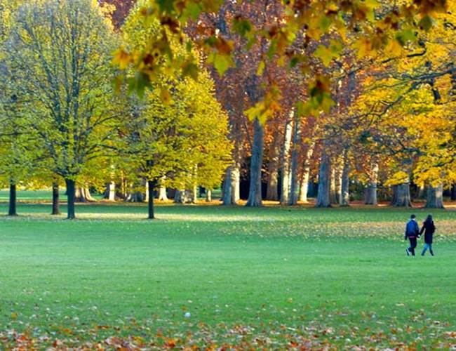 parc Tête dOr