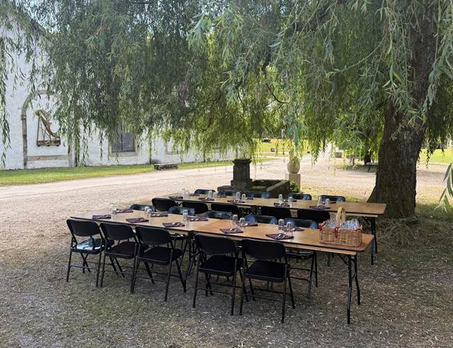Accueil de groupe, sous le saule pleureur