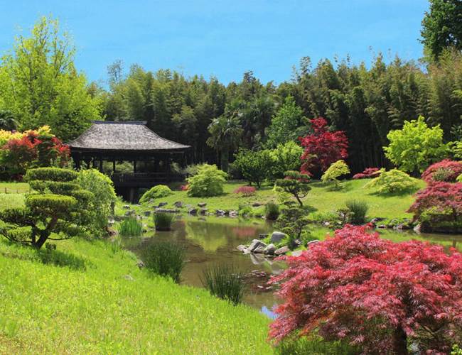 La-Bambouseraie-d-Anduze