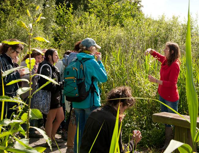 Photo éditée par le parc ESEM