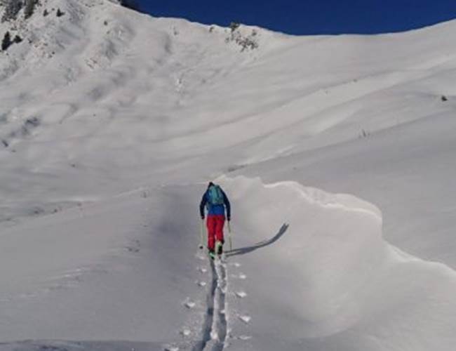 Ski de randonnée