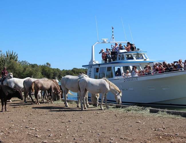 ballade-péniche-petit-rhône