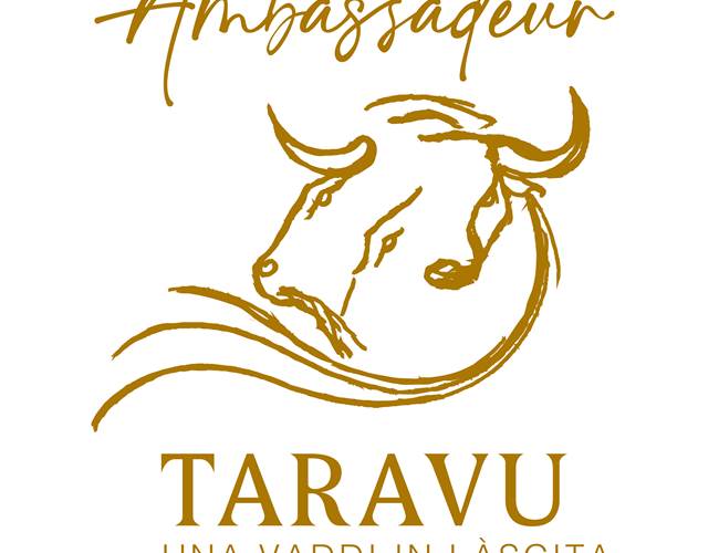 Abbartello kayak Corse ambassadeur Taravu