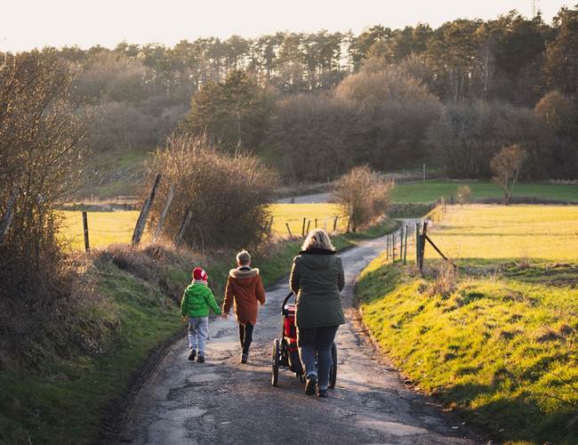 Promenade dans la nature