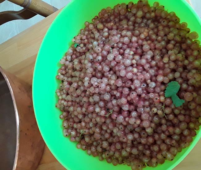 Sans titre-photo-news