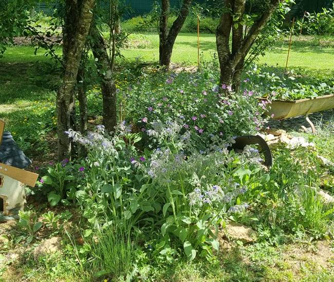 Belaora Verger aromatique en mouvement-photo-page