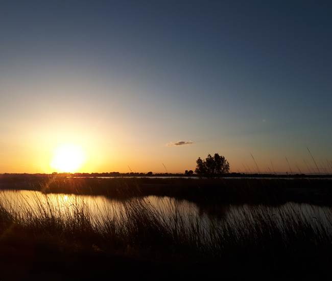 Le couché du soleil en Camargue-photo-page