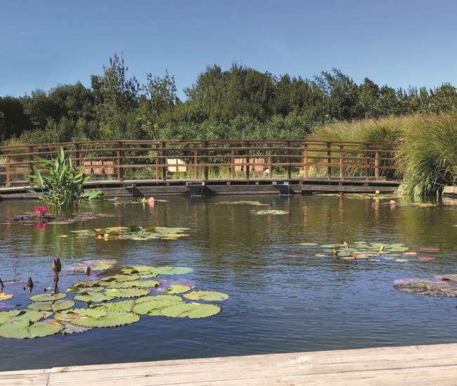 Sans titre-photo-news