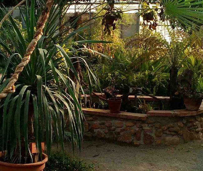 image-photo-news