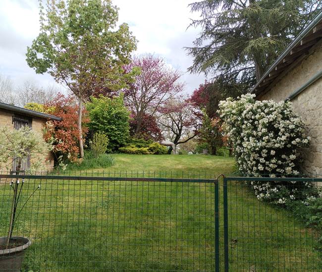 Le jardin au printemps-photo-page