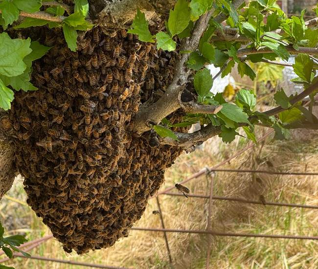 Sans titre-photo-page