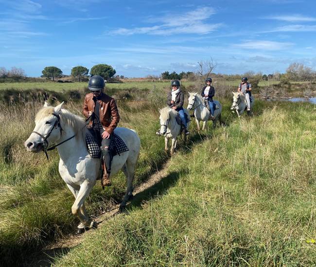 Sans titre-photo-news