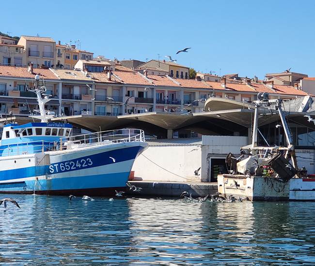 Sans titre-photo-page