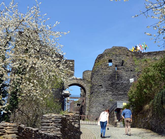 Château féodal de La Roche-en-Ardenne-photo-page