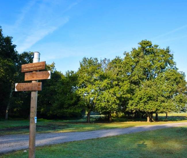 Circuit de la Barthe et de l’Adour - Riviere-Saas-Et-Gourby-photo-news