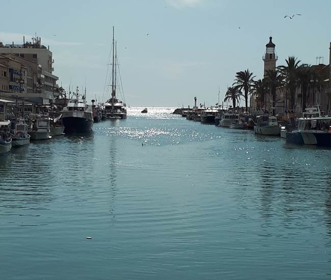 Le port du Grau du Roi-photo-page