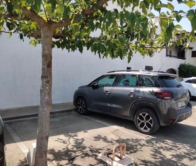 Sans titre-photo-news