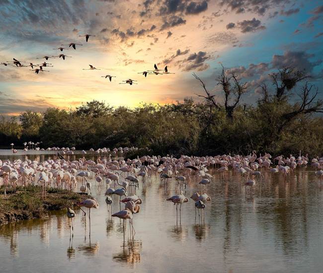 Sans titre-photo-news