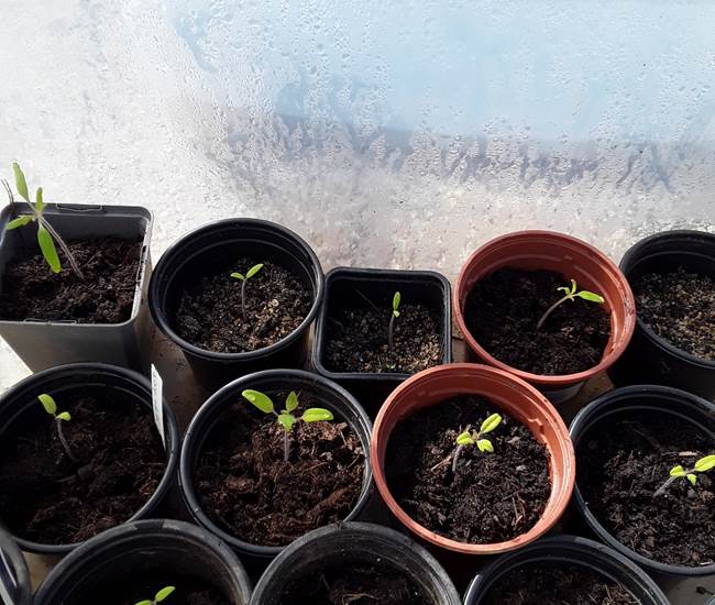 LES FRILEUSES RESTENT AU CHAUD!-photo-news