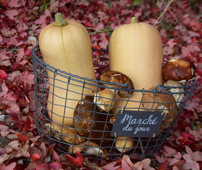 Butternuts et ceps sur leur lit de feuilles-photo-news