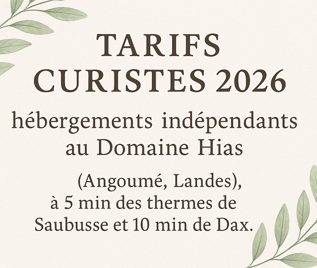 Appartement T3 – Séjours curistes de 3 semaines – Domaine Hias-photo-news