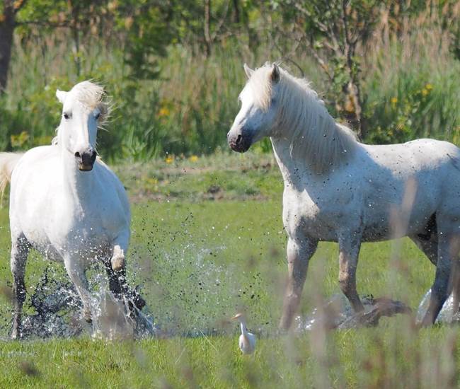 Sans titre-photo-news