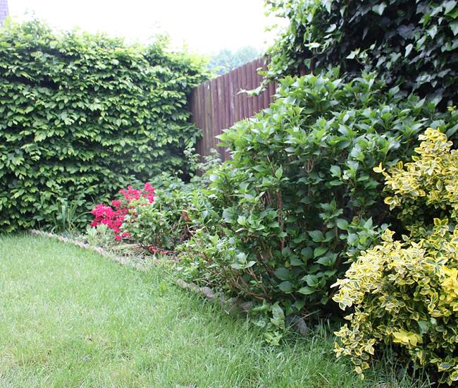 Coin jardin-photo-page