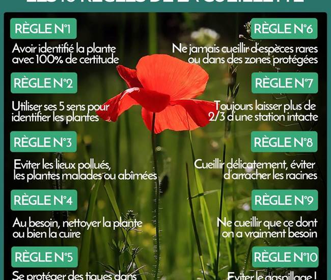 99296902_2550771705236952_5031382491651375104_o-photo-page