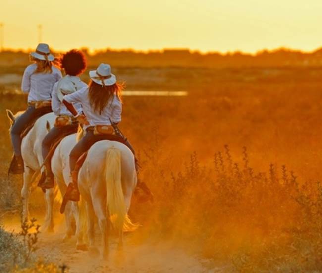 Sans titre-photo-news