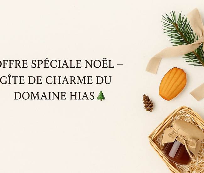 Offre Spéciale Noël – Gîte De Charme Du Domaine Hias-photo-news