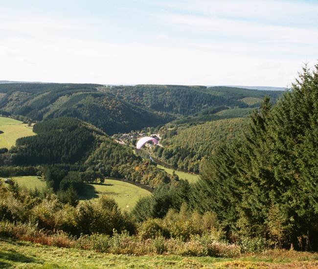 Les Crestelles à Bérisménil-photo-page
