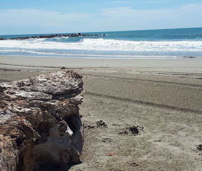 La plage sauvage de l'Espiguette-photo-page