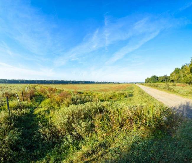 Circuit des barthes neuves - Mées-photo-news